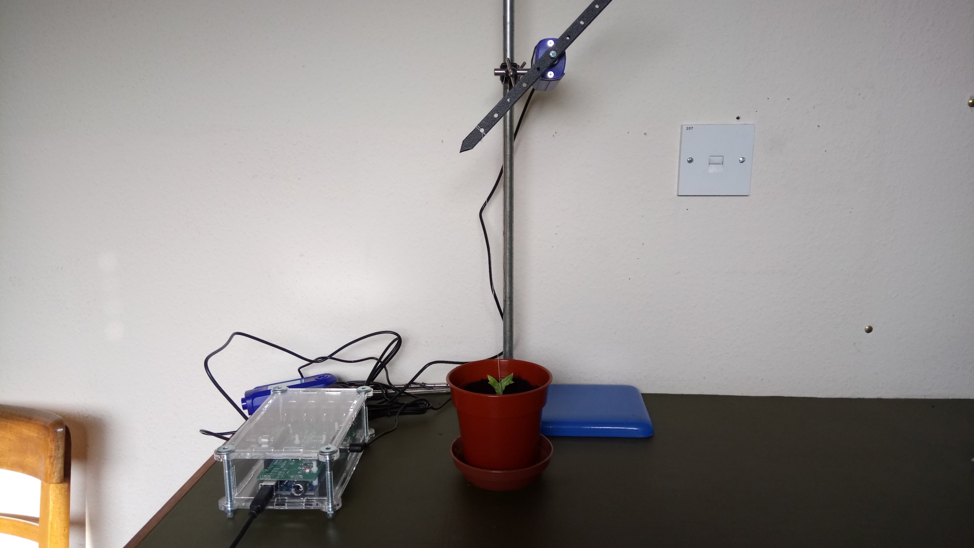 plant-growth-iot-school